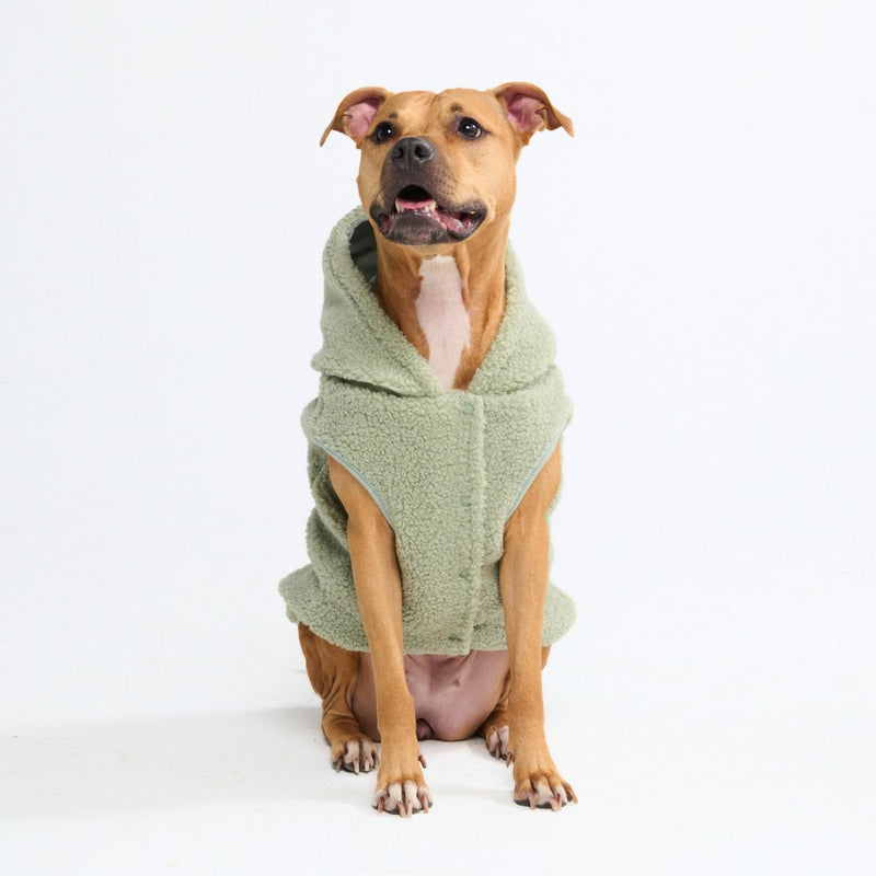 Teddy Sherpa Dog Sweater - Light Green