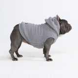 Teddy Sherpa Dog Sweater - Silver Gray