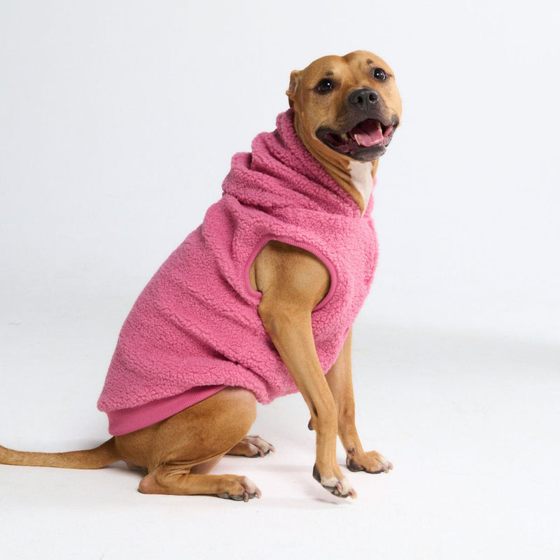 Teddy Sherpa Dog Sweater - Dark Pink