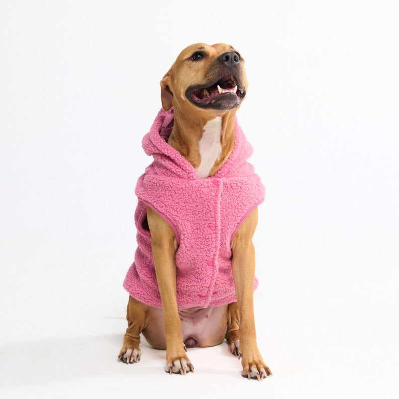 Teddy Sherpa Dog Sweater - Dark Pink