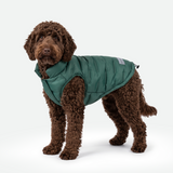 Green Thermosonic Winter Jacket||size:2XL