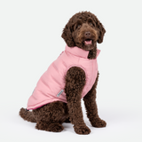 Pink Thermosonic Winter Jacket||size:2XL