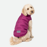 Magenta Thermosonic Winter Jacket||size:2XL