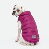 Magenta Thermosonic Winter Jacket||size:3XL