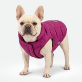Magenta Thermosonic Winter Jacket||size:L