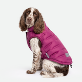 Magenta Thermosonic Winter Jacket||size:XL