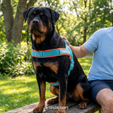 Teal Apricot Grab and Go||size:1,2,3,4,5,6