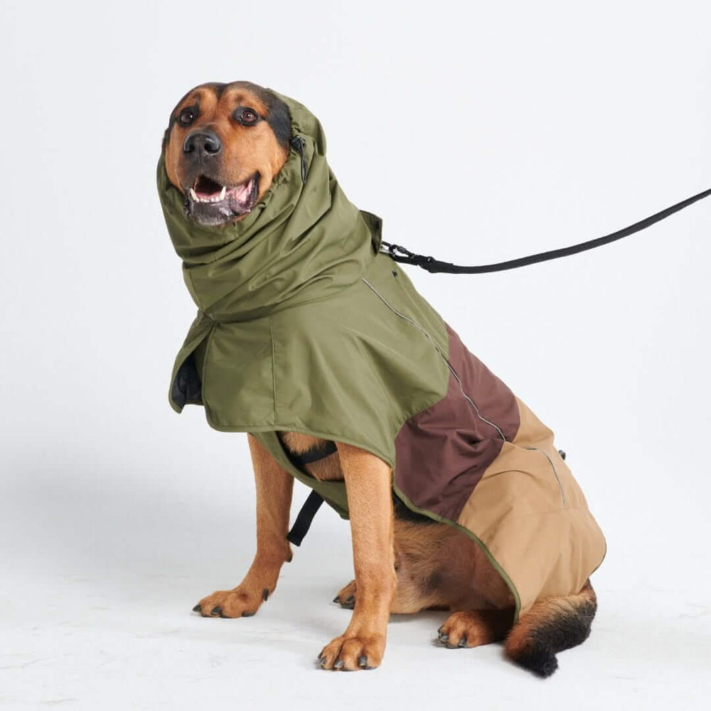 Dog rain outfit on sale