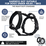 Black Harness||size:S,M,L