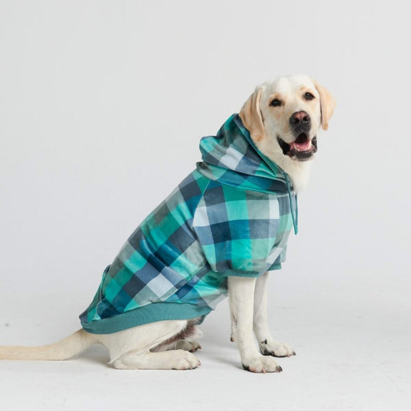 Velvet Dog Hoodie - Turquoise Checkered