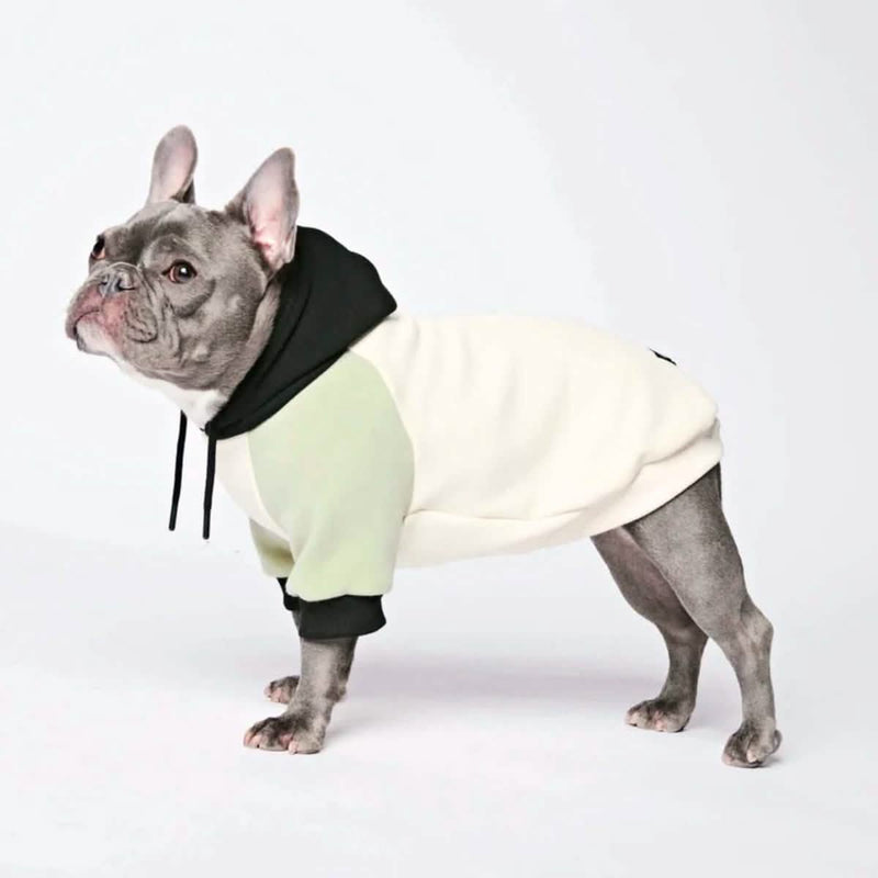 Olive Cream Dog Hoodie