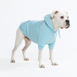 Essential Baby Blue Hoodie||size:3XL