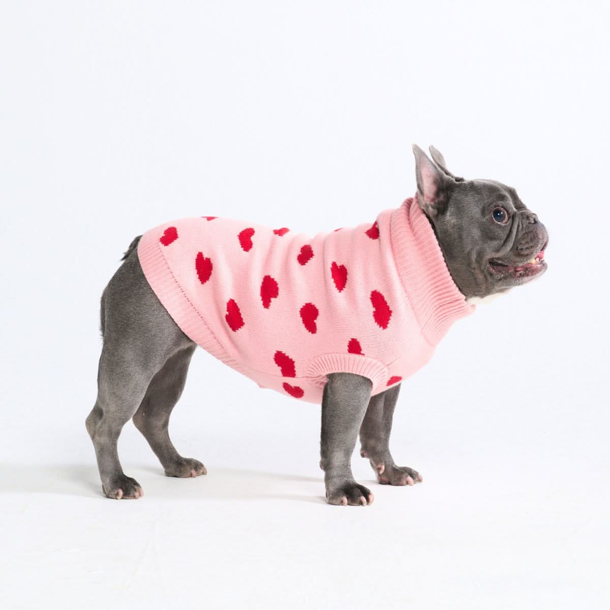 Knit Dog Sweater Jumpers for Small and Big Dogs – SPARK PAWS Knit Dog Sweater Jumpers for Small and Big Dogs – SPARK PAWS