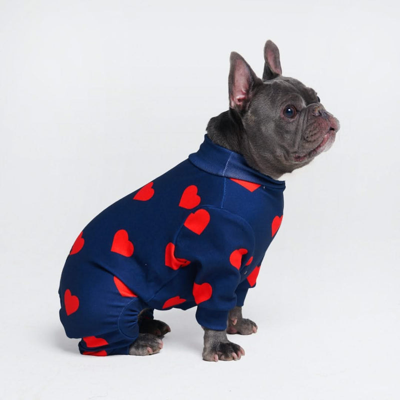 https://www.sparkpaws.ca/cdn/shop/files/dogonesiepajamaoveralls_22_800x.jpg?v=1693032641