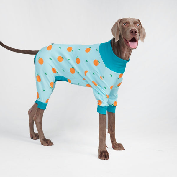 Dog Pajama - Oranges