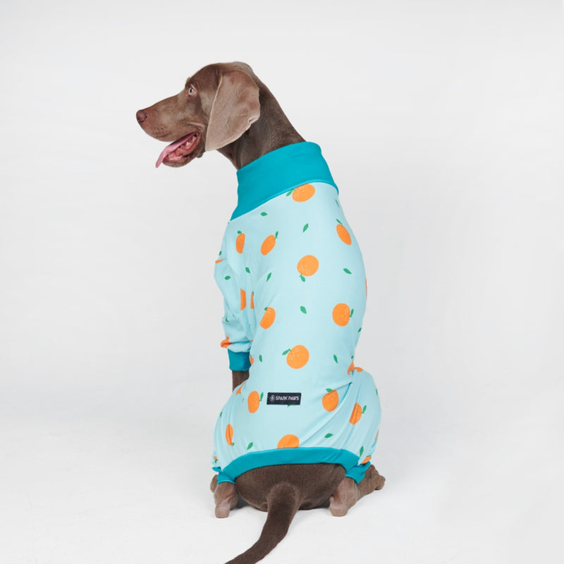 Beagle Pajama Bottoms – Southern Paws