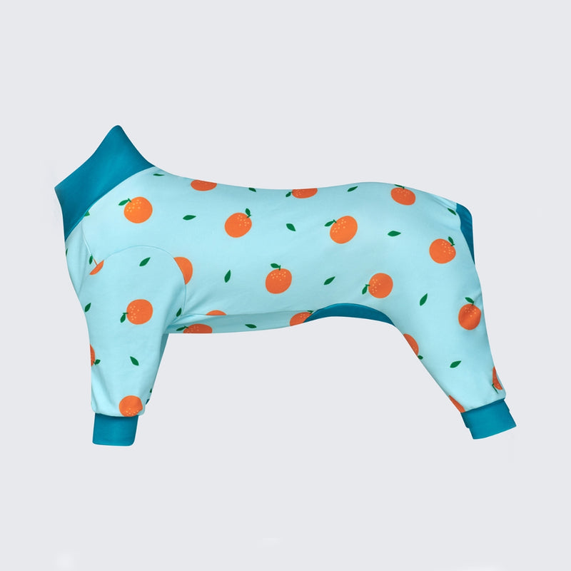 Dog Pajama - Oranges – SPARK PAWS