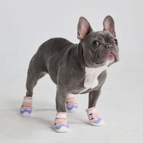 Dog Shoes & Boots – SPARK PAWS