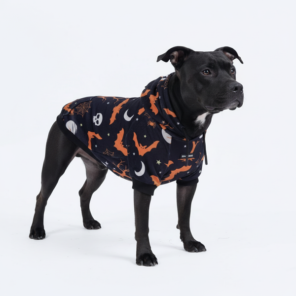 Halloween Dog Hoodie - Black