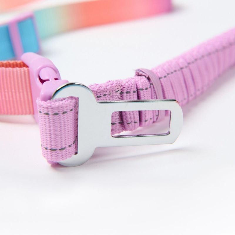 Pastel Icing Neoprene Leash