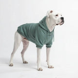 Essential Teal Hoodie