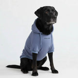 Essential Slate Blue Hoodie