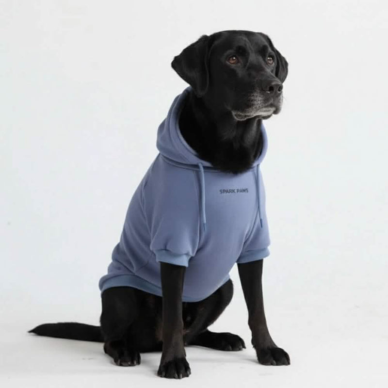 Essential Slate Blue Hoodie