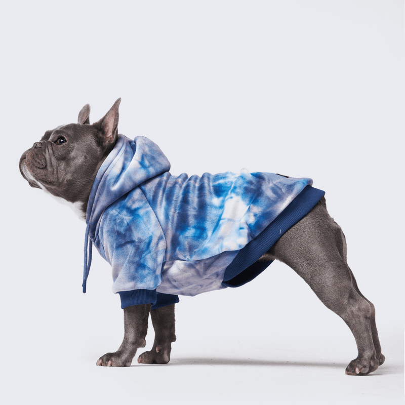 Bulldog hoodies for sales dogs