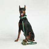 Tactical Dog Collar Set - Multi Color (1.5"/4cm)