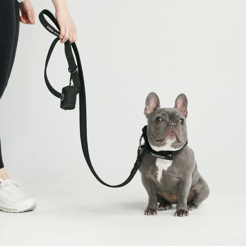 Tactical Dog Collar Set - Multi Color (1.5"/4cm)