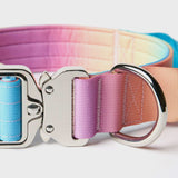 Tactical Dog Collar Set - Pastel Icing (1.5"/4cm)