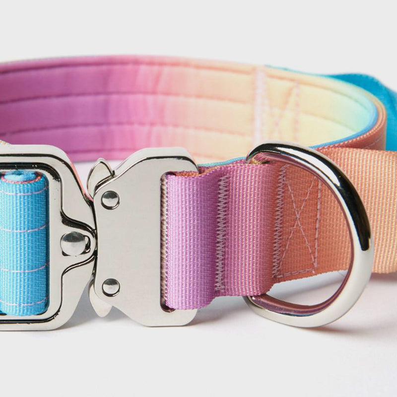 Tactical Dog Collar Set - Pastel Icing (1.5"/4cm)