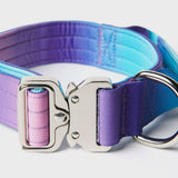 Tactical Dog Collar Set - 90s Retro (1.5"/4cm)