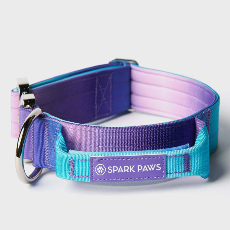 Tactical Dog Collar Set - 90s Retro (1.5"/4cm)