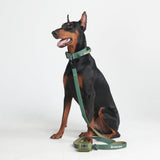 Tactical Dog Collar Set - Army Green (1.5"/4cm)