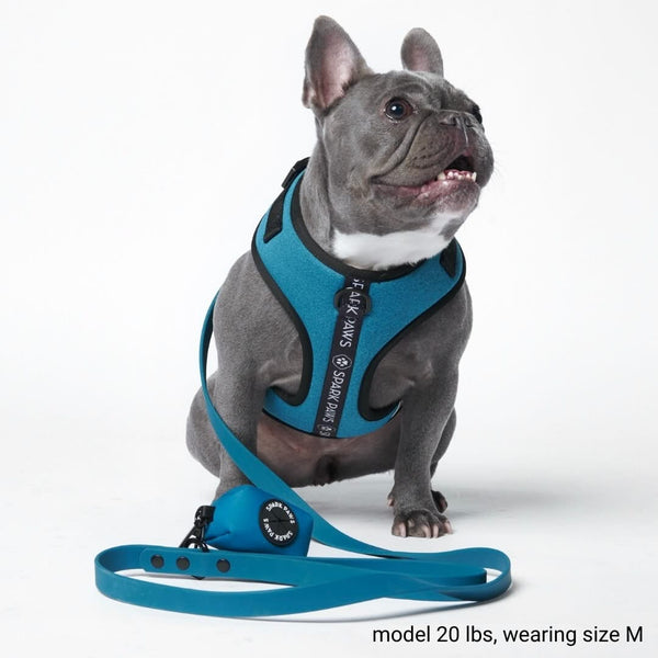 Waterproof PVC Dog Leash - Blue