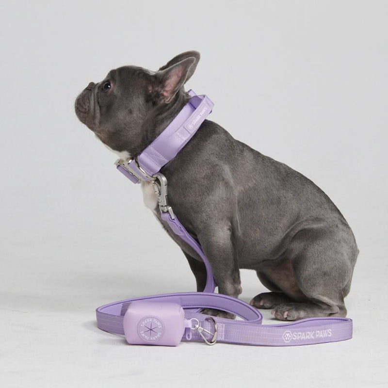 Tactical Dog Collar Set - Lilac (1.5"/4cm)