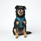 Ultra-Soft Activewear Harness - Blue [Size XS] dogs up to 5kg/10lbs