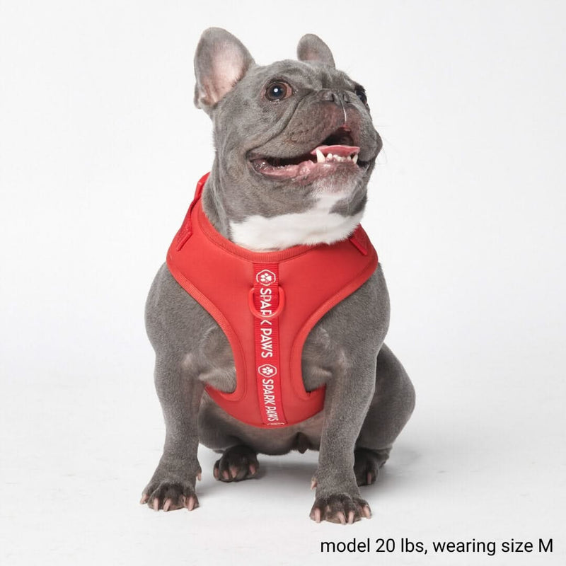 Ultra-Soft Activewear Harness - Red [Size XS] dogs up to 5kg/10lbs