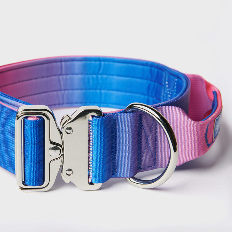 Tactical Dog Collar Set - Snow Cone (2"/5cm)