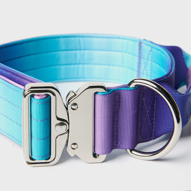 Tactical Dog Collar Set - 90s Retro (2"/5cm)