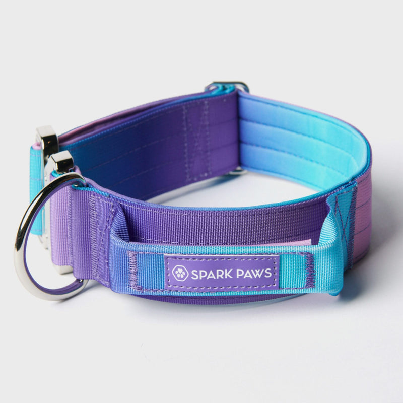 Tactical Dog Collar Set - 90s Retro (2"/5cm)