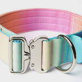 Tactical Dog Collar Set - Pastel Icing (2"/5cm)