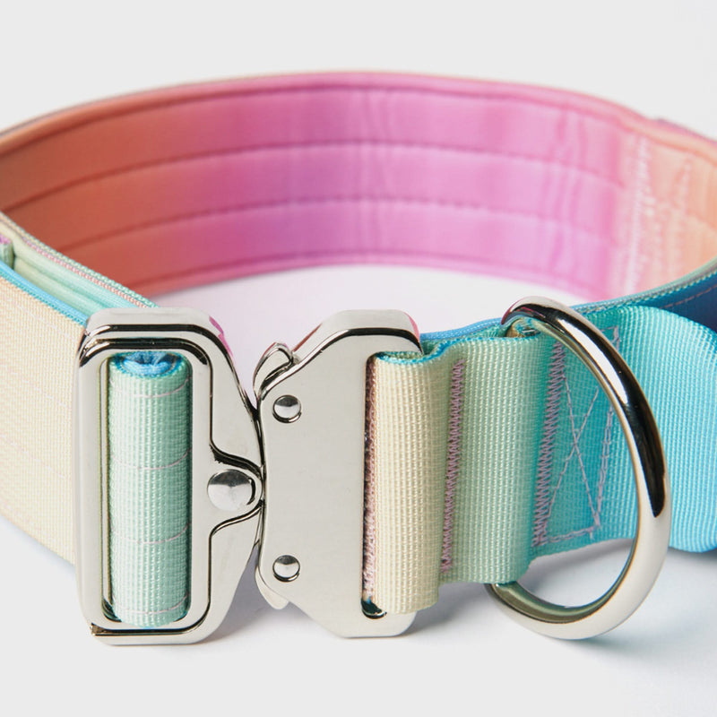 Tactical Dog Collar Set - Pastel Icing (2"/5cm)