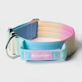 Tactical Dog Collar Set - Pastel Icing (2"/5cm)