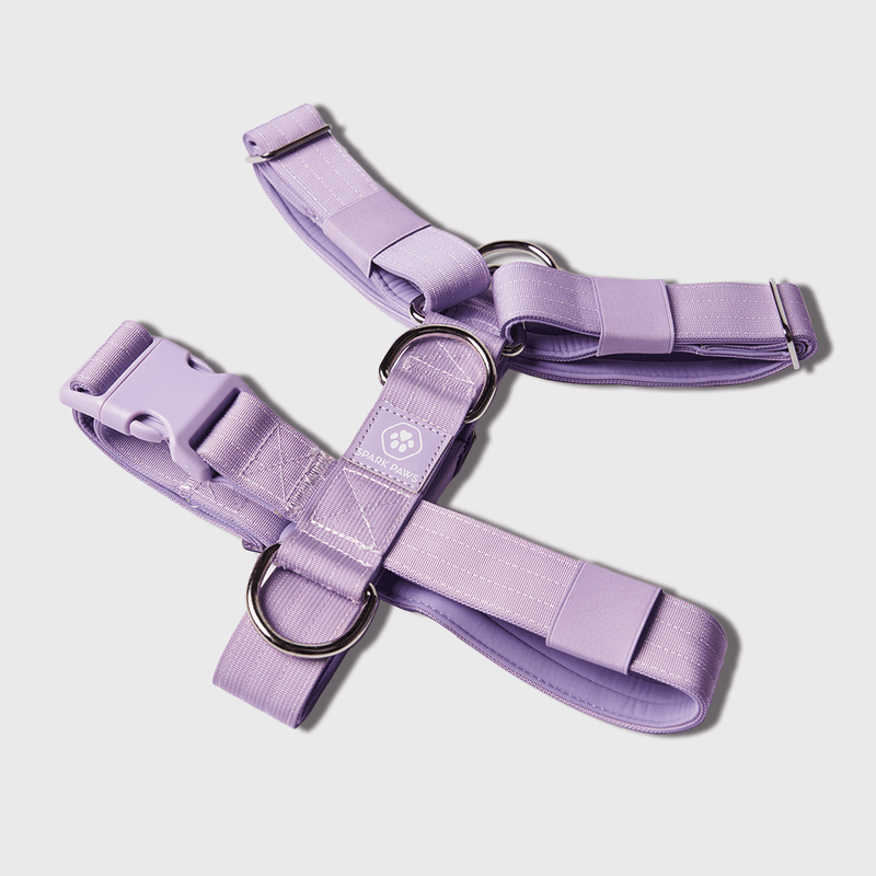 Comfort Control No-Pull Dog Harness - Lilac