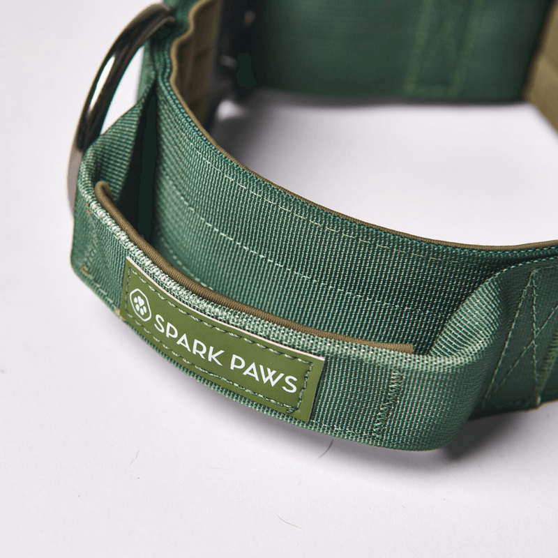 Tactical Dog Collar - Army Green (2"/5cm)