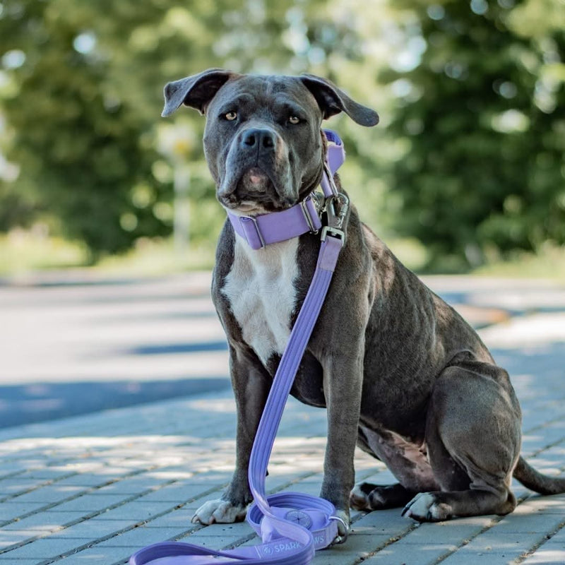 Tactical Dog Collar - Lilac (2"/5cm)