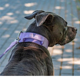 Tactical Dog Collar - Lilac (2"/5cm)