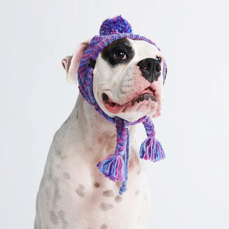 Dog beanies kmart deals